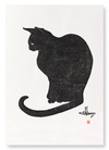 Cat No.5 (Pack of 2 prints)