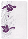 Purple iris design (Pack of 2 prints)