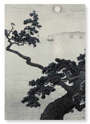 Pine at akashi (Pack of 2 prints)