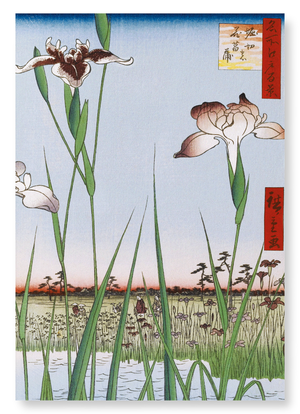 Horikiri iris garden (Pack of 2 prints)