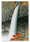 Nikko waterfall (Pack of 2 prints)