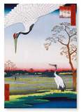 Cranes at mikawa island (Pack of 2 prints)