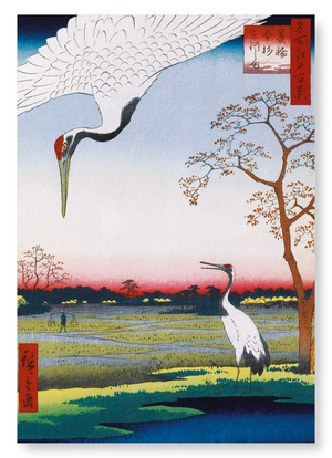 Cranes at mikawa island (Pack of 2 prints)