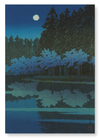 Spring cherry blossoms at night (Pack of 2 prints)