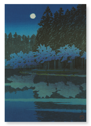 Spring cherry blossoms at night (Pack of 2 prints)