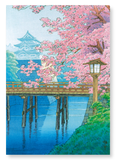 Castle and cherry blossoms (Pack of 2 prints)