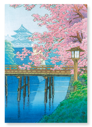 Castle and cherry blossoms (Pack of 2 prints)