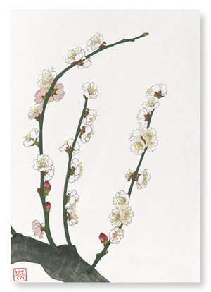 Plum blossom (Pack of 2 prints)