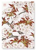 Cherry blossom flowers (Pack of 2 prints)