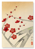 Red plum blossom tree (Pack of 2 prints)