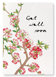 Get well soon quince flowers (Pack of 2 prints)