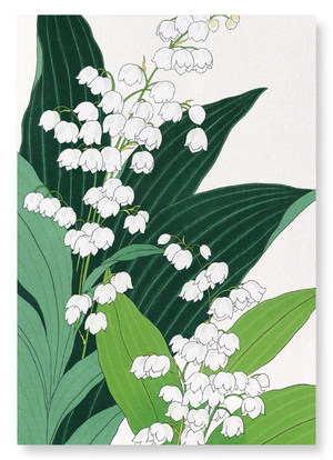 Lily of the valley (Pack of 2 prints)