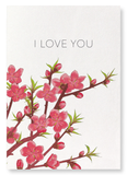 Peach blossom of love (Pack of 2 prints)