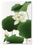 Lotus flower (Pack of 2 prints)