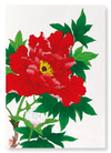 Red peony (Pack of 2 prints)