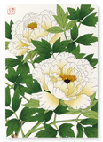 White peony (Pack of 2 prints)