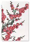 Red plum blossom (Pack of 2 prints)