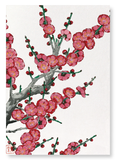 Red plum blossom (Pack of 2 prints)