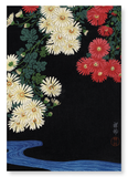 Chrysanthemum (Pack of 2 prints)