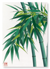 Bamboo (Pack of 2 prints)