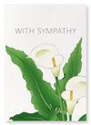 Sympathy calla lily (Pack of 2 prints)