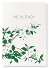 New baby apple blossoms (Pack of 2 prints)