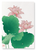 Pink lotus (Pack of 2 prints)