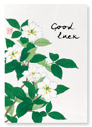 Good luck gardenia (Pack of 2 prints)