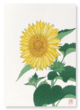 Sunflower (Pack of 2 prints)