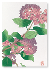 Hydrangea (Pack of 2 prints)