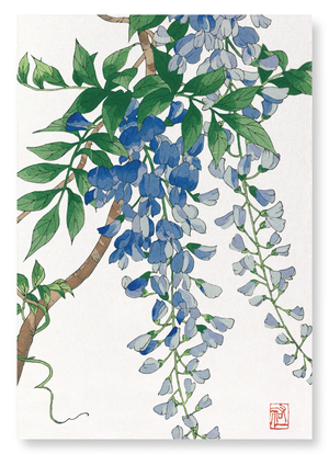 Blue wisteria (Pack of 2 prints)