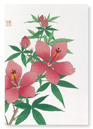 Hibiscus (Pack of 2 prints)