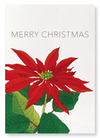 Christmas (poinsettia) (Pack of 2 prints)