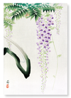 Wisteria (Pack of 2 prints)