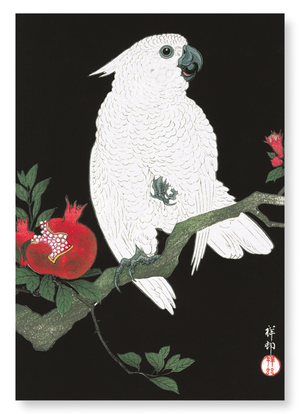 Cockatoo and pomegranate (Pack of 2 prints)