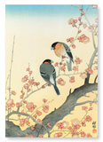 Bullfinches on flowering plum tree (Pack of 2 prints)