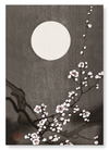 Flowering plum blossom at full moon (Pack of 2 prints)