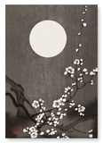 Flowering plum blossom at full moon (Pack of 2 prints)