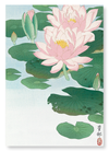 Flowering lotus (Pack of 2 prints)