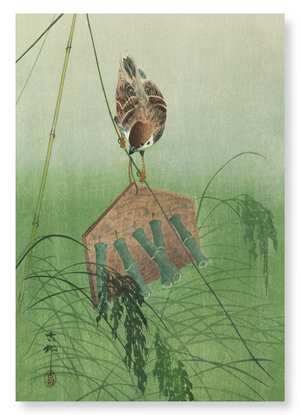 Sparrow and scarecrow (Pack of 2 prints)