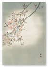 Cherry blossom in the full moon (Pack of 2 prints)