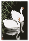 Geese by reed (Pack of 2 prints)