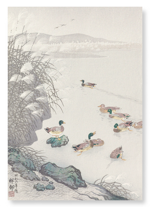 Ducks in the water (1931)  (Pack of 2 prints)