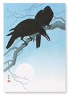 Crows in moonlight (Pack of 2 prints)