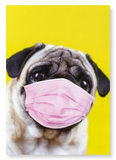 Pug mask (Pack of 2 prints)