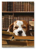 Dog of literature (Pack of 2 prints)