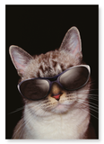 Cool cat (Pack of 2 prints)