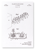 Patent of plant cultivation (1971) (Pack of 2 prints)