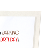 A barking birthday (Pack of 2 prints)