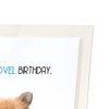 Novel birthday (Pack of 2 prints)